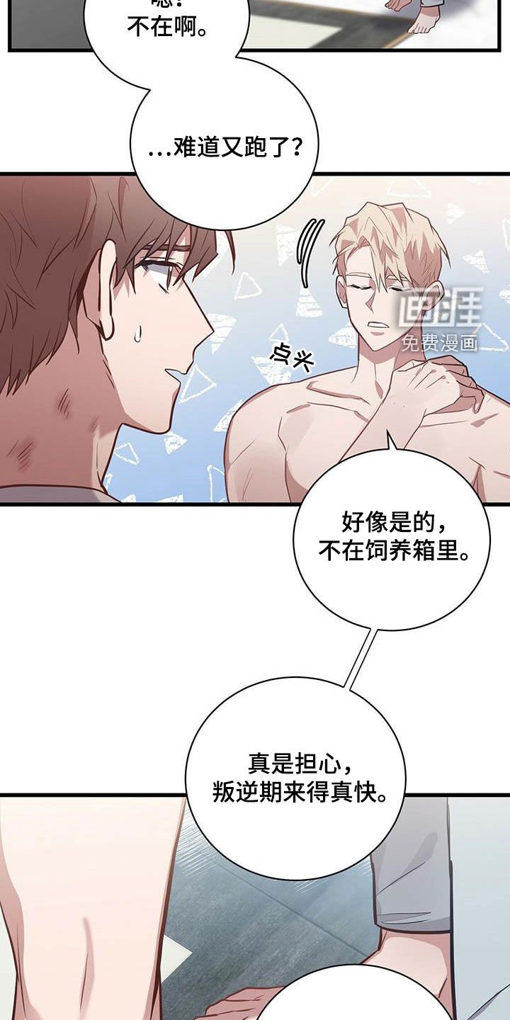 第27章：戒指