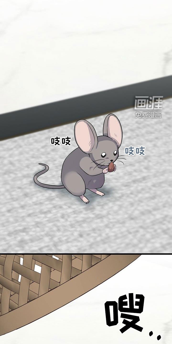 第27章：戒指