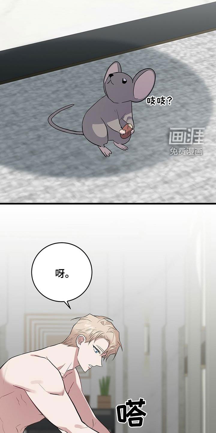 第27章：戒指