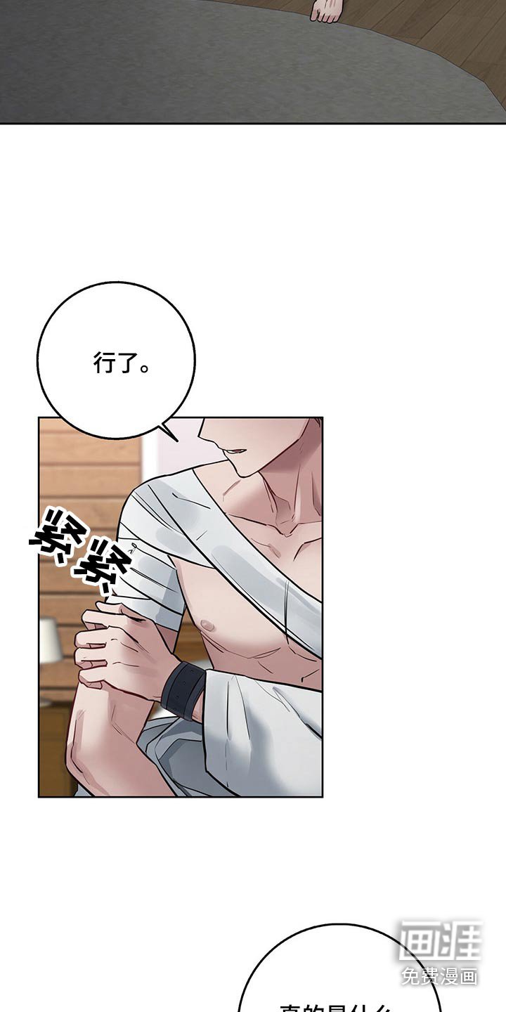 第41章：信任之人