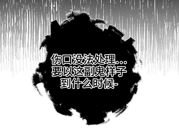 第43章：后面