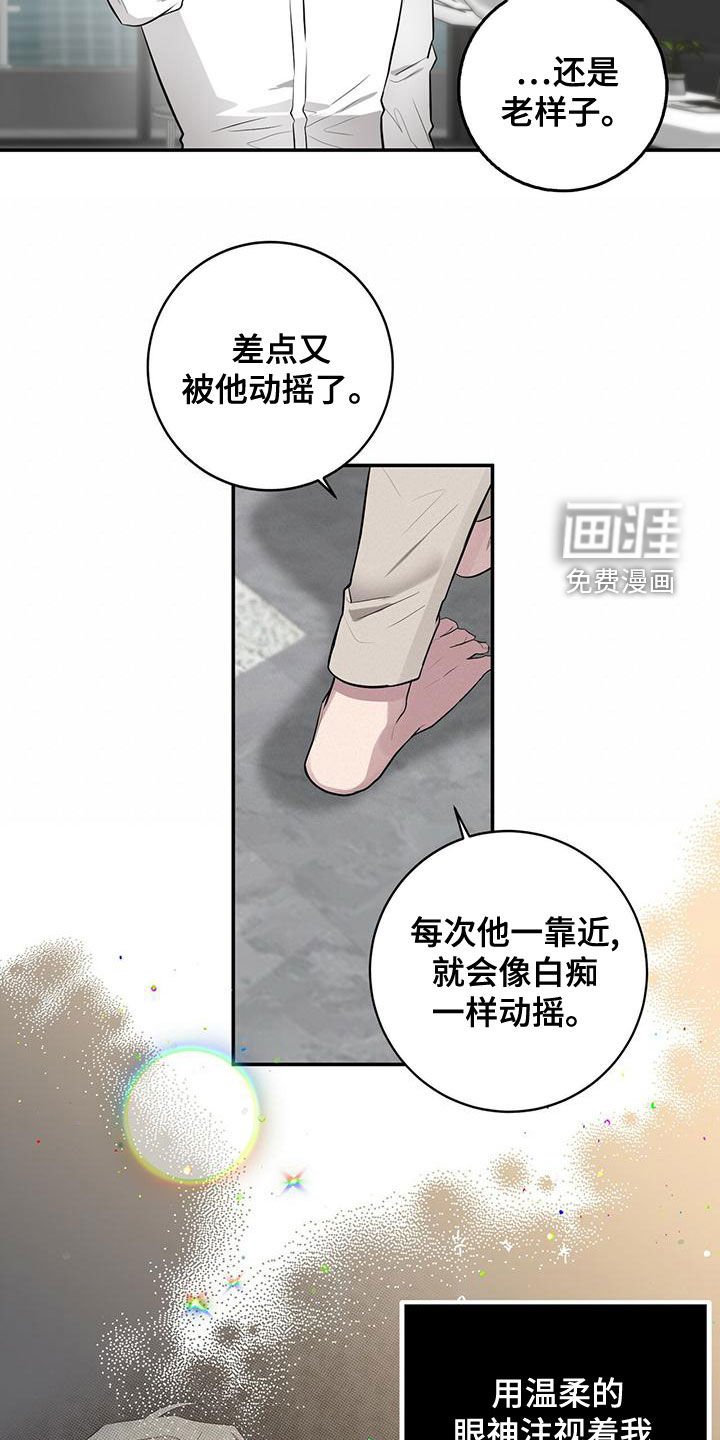 第55章：本质