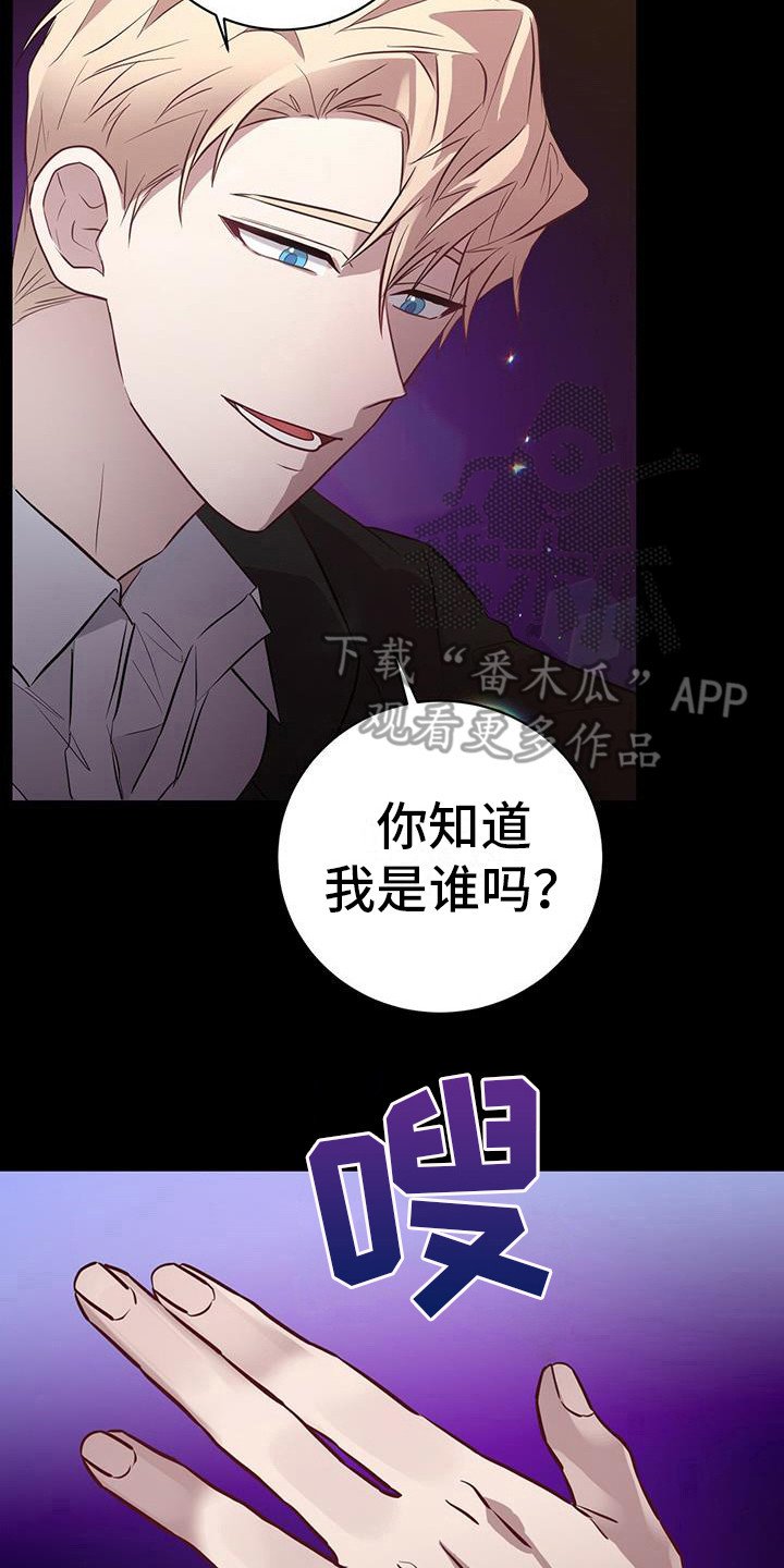 第6章：老鼠