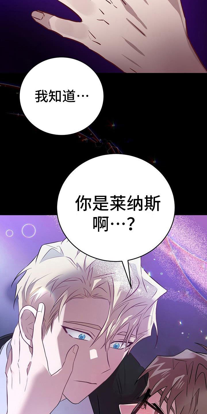 第6章：老鼠