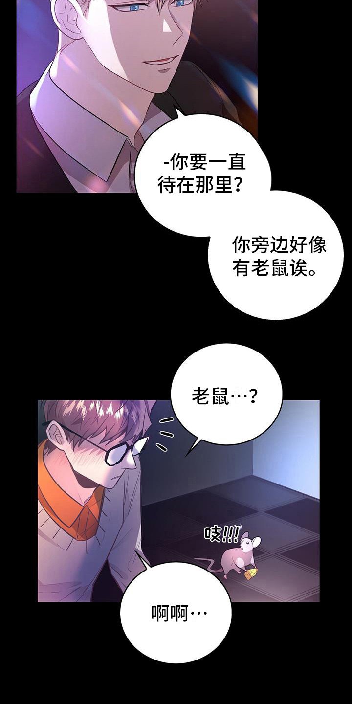 第6章：老鼠