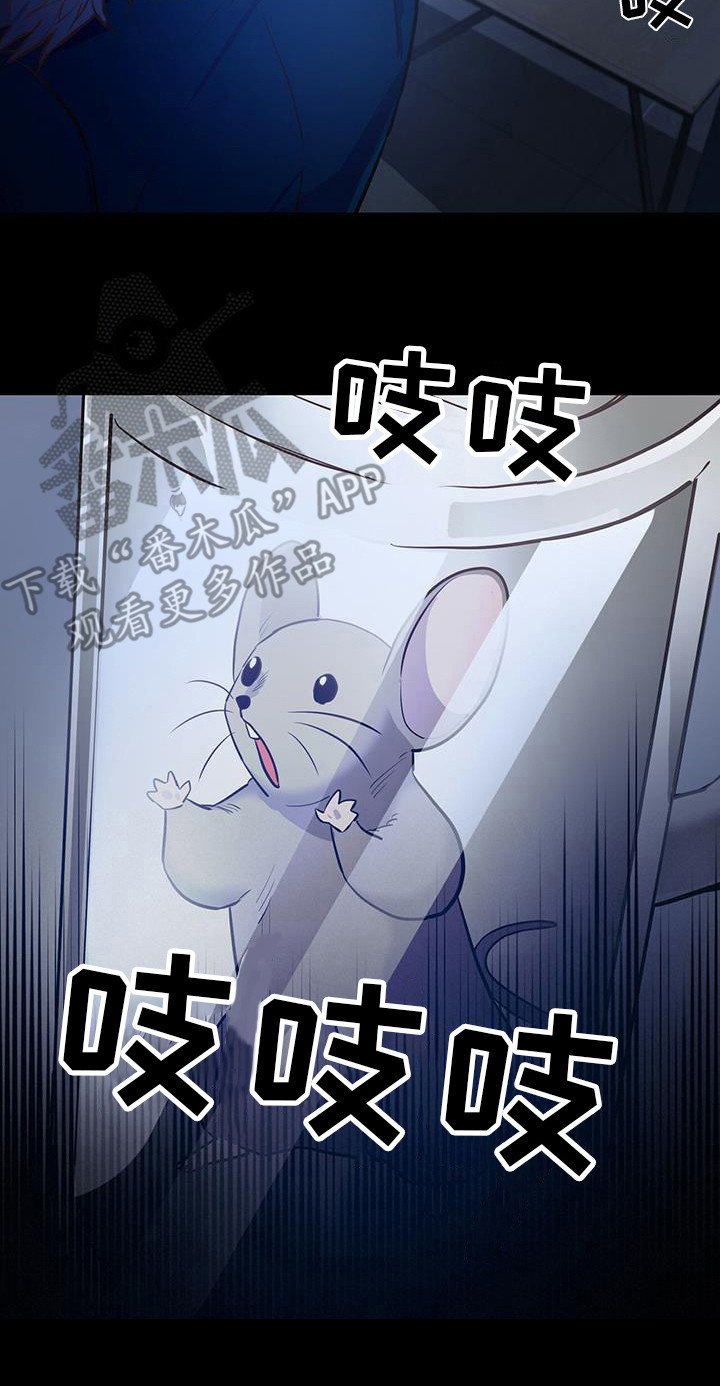 第6章：老鼠