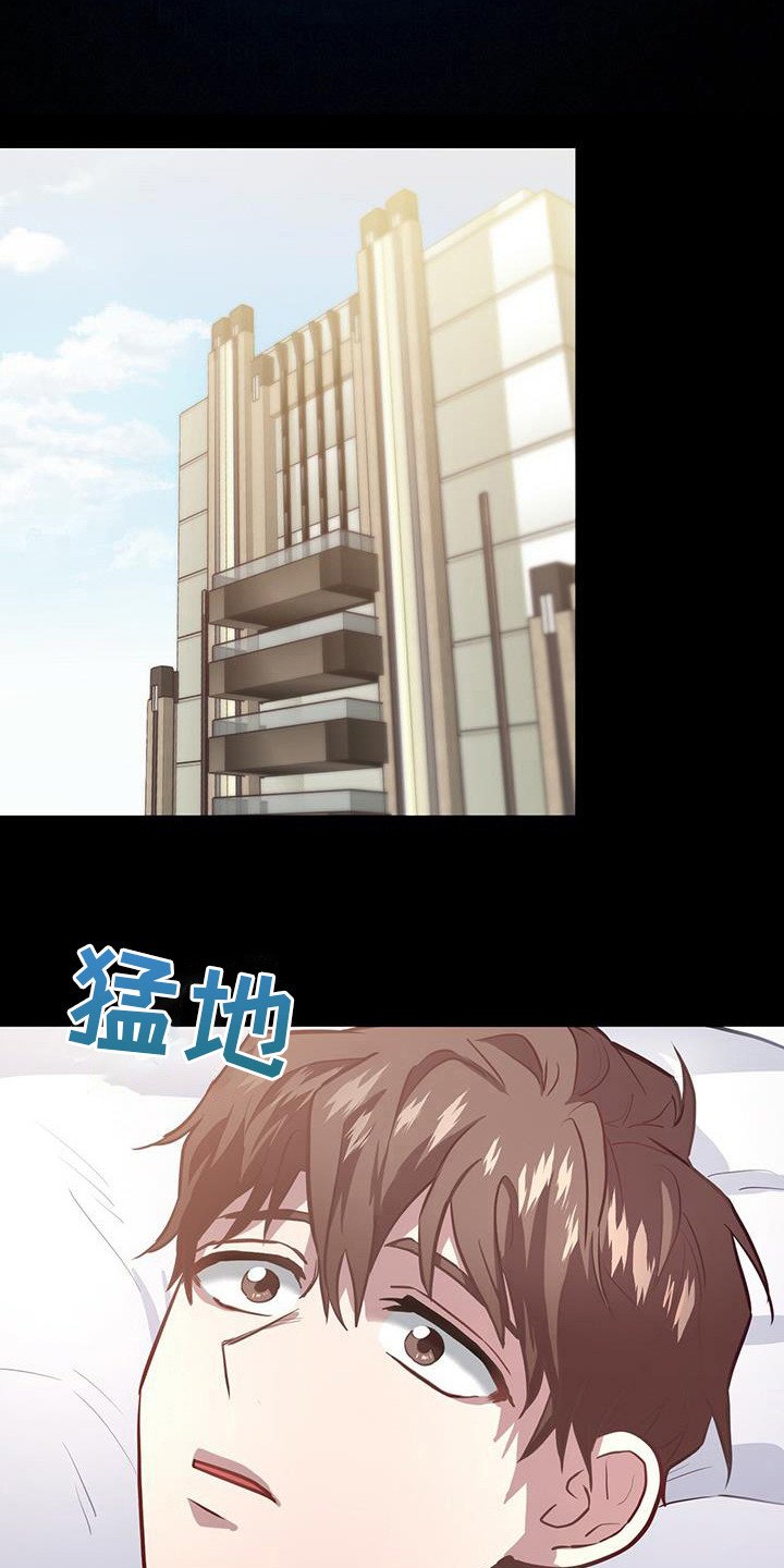 第6章：老鼠