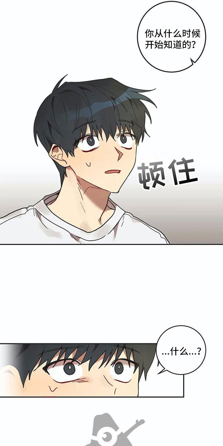 第15章：告白