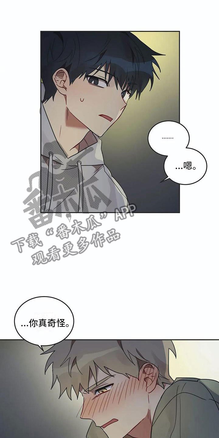 第17章：诅咒解除