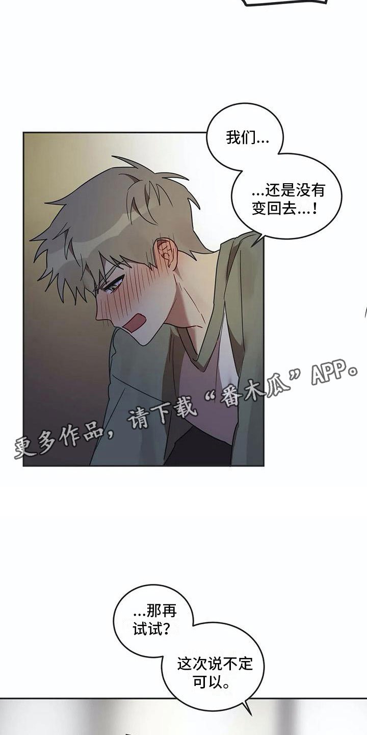 第17章：诅咒解除