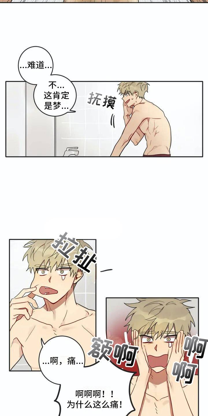 第3章：回归