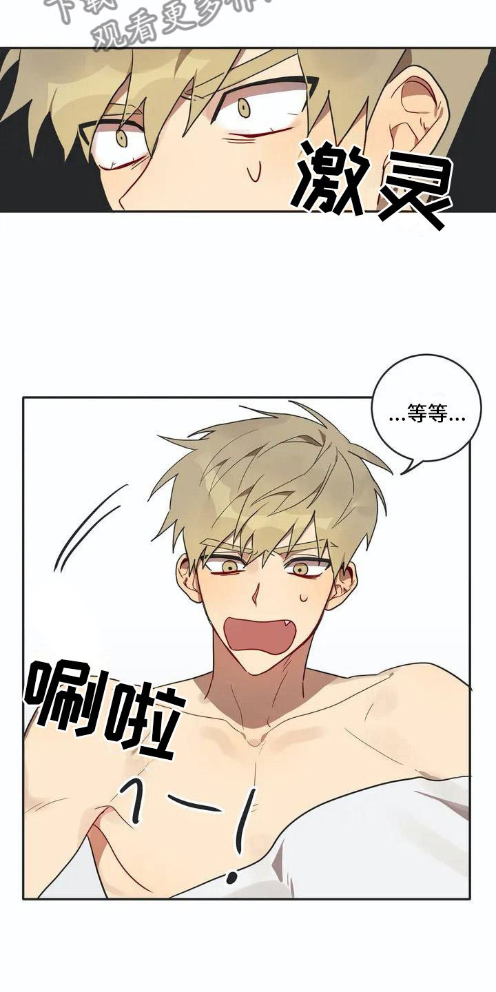 第4章：名牌