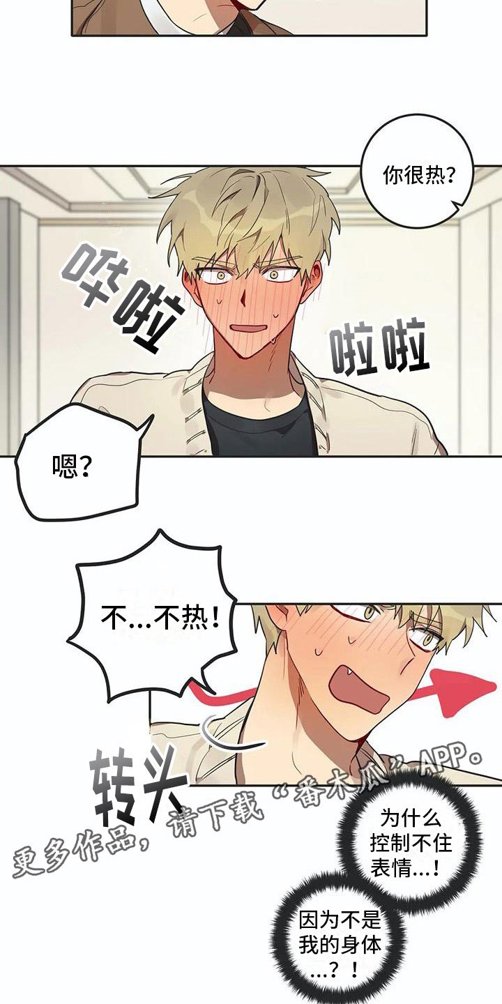 第5章：关键信息