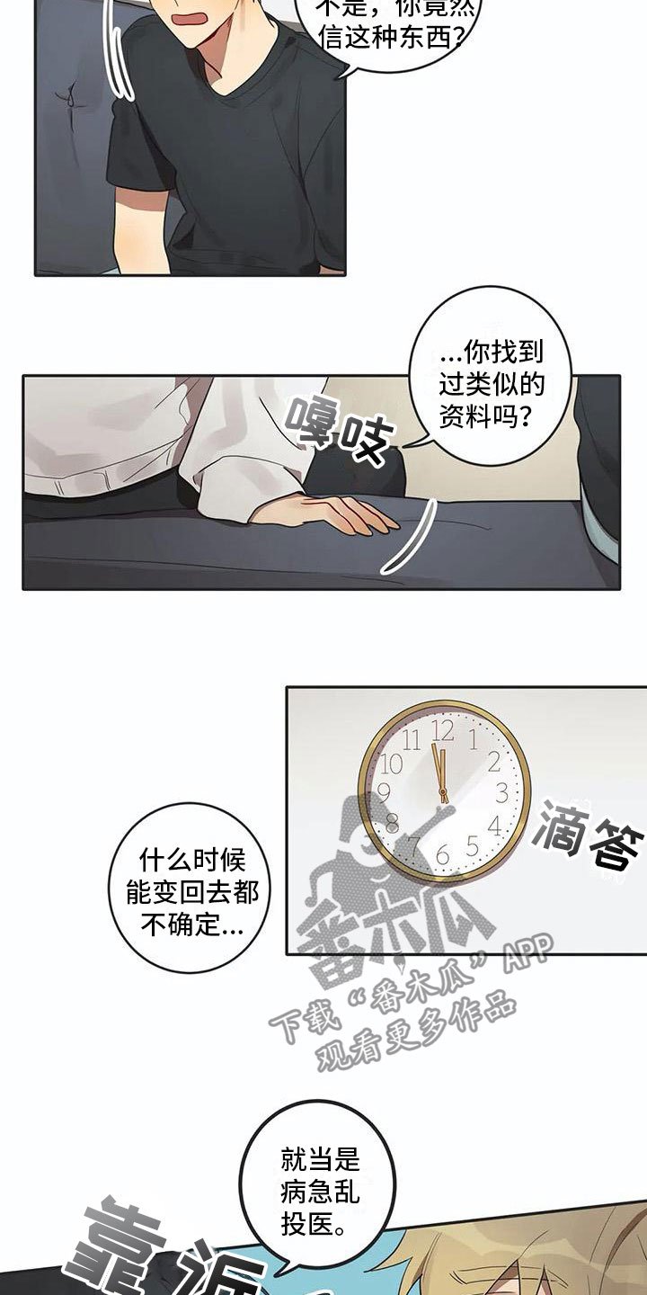 第6章：爱