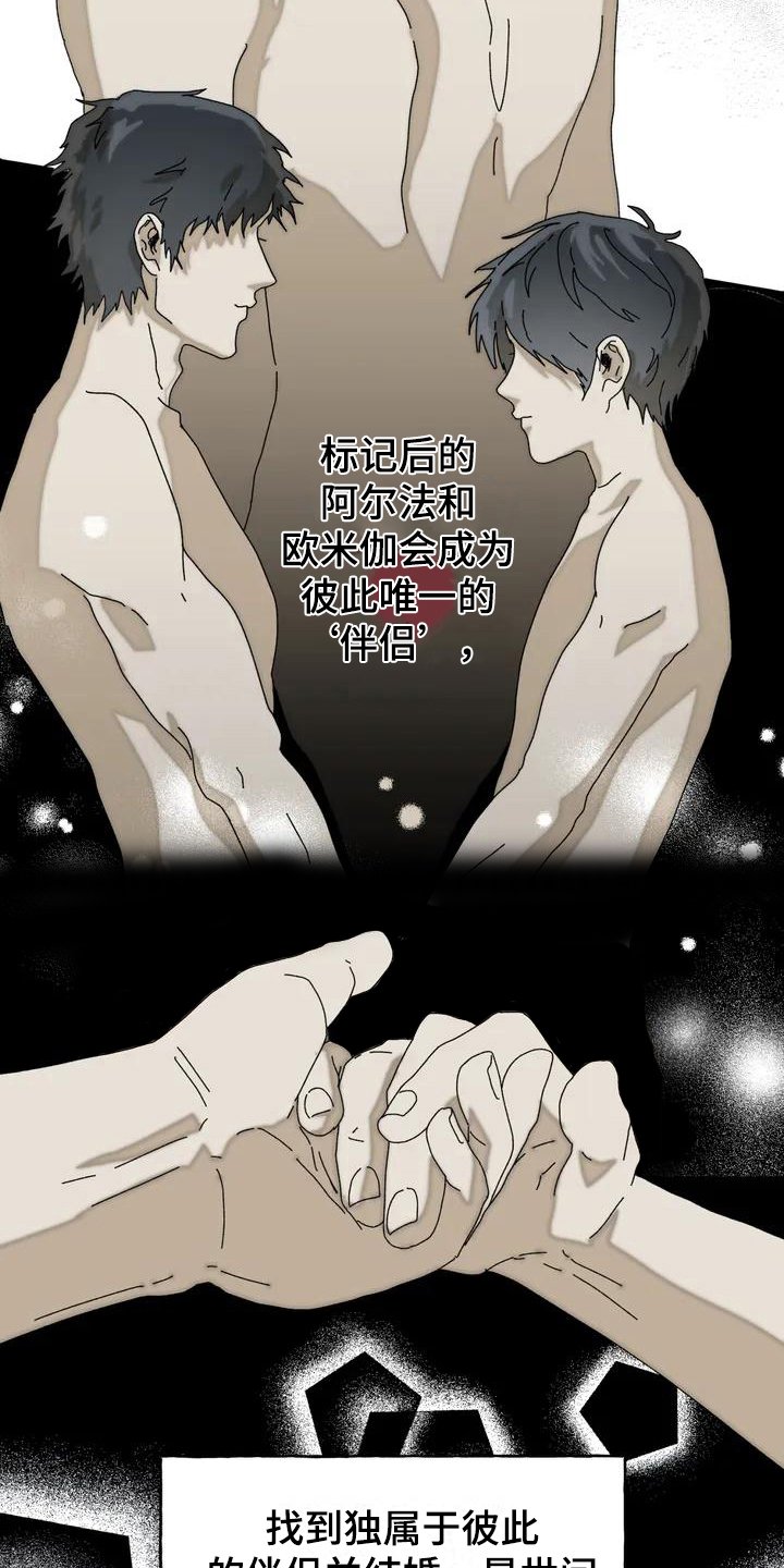 第1章：关注