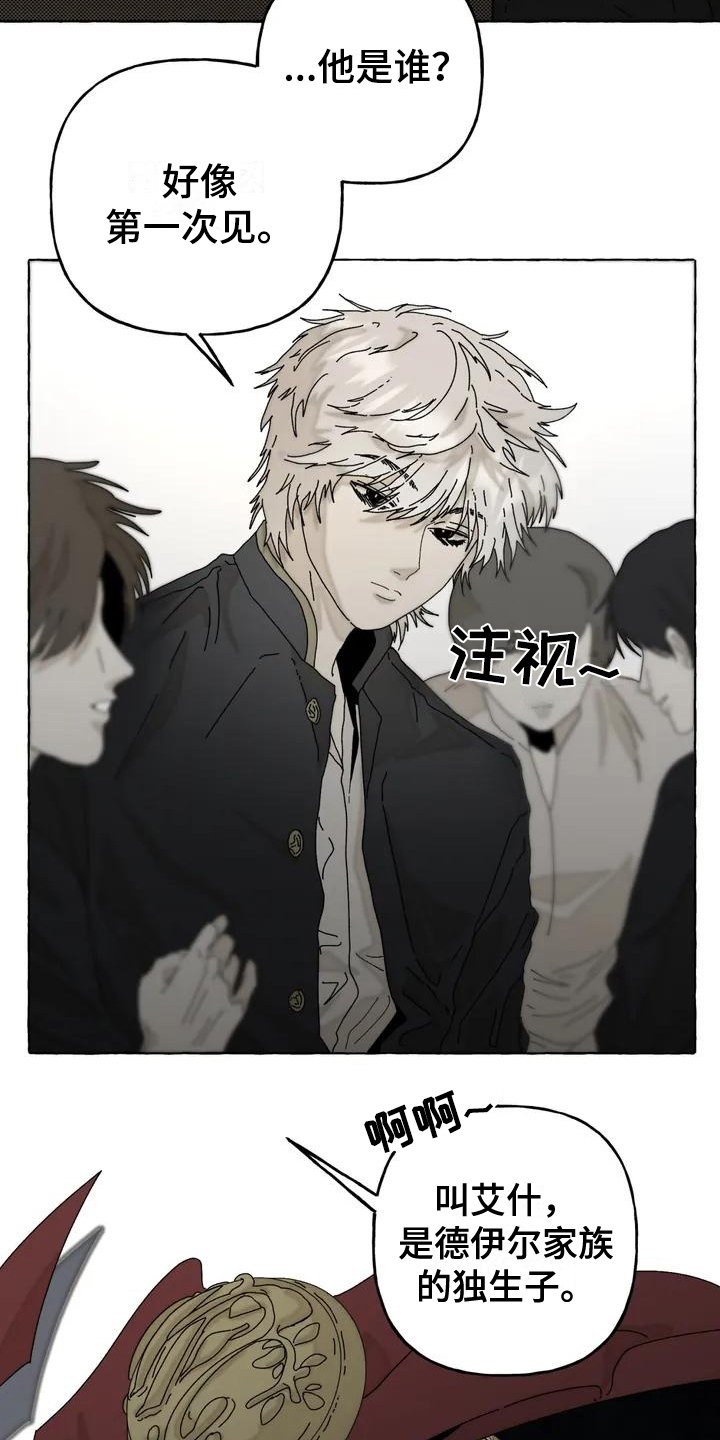 第1章：关注