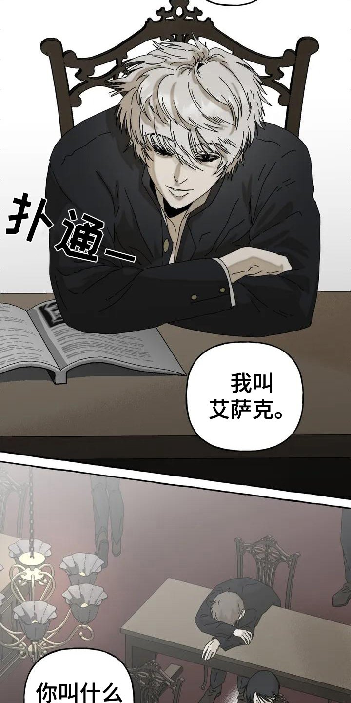 第1章：关注