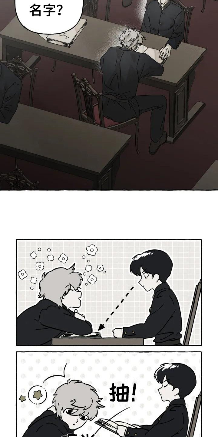 第1章：关注