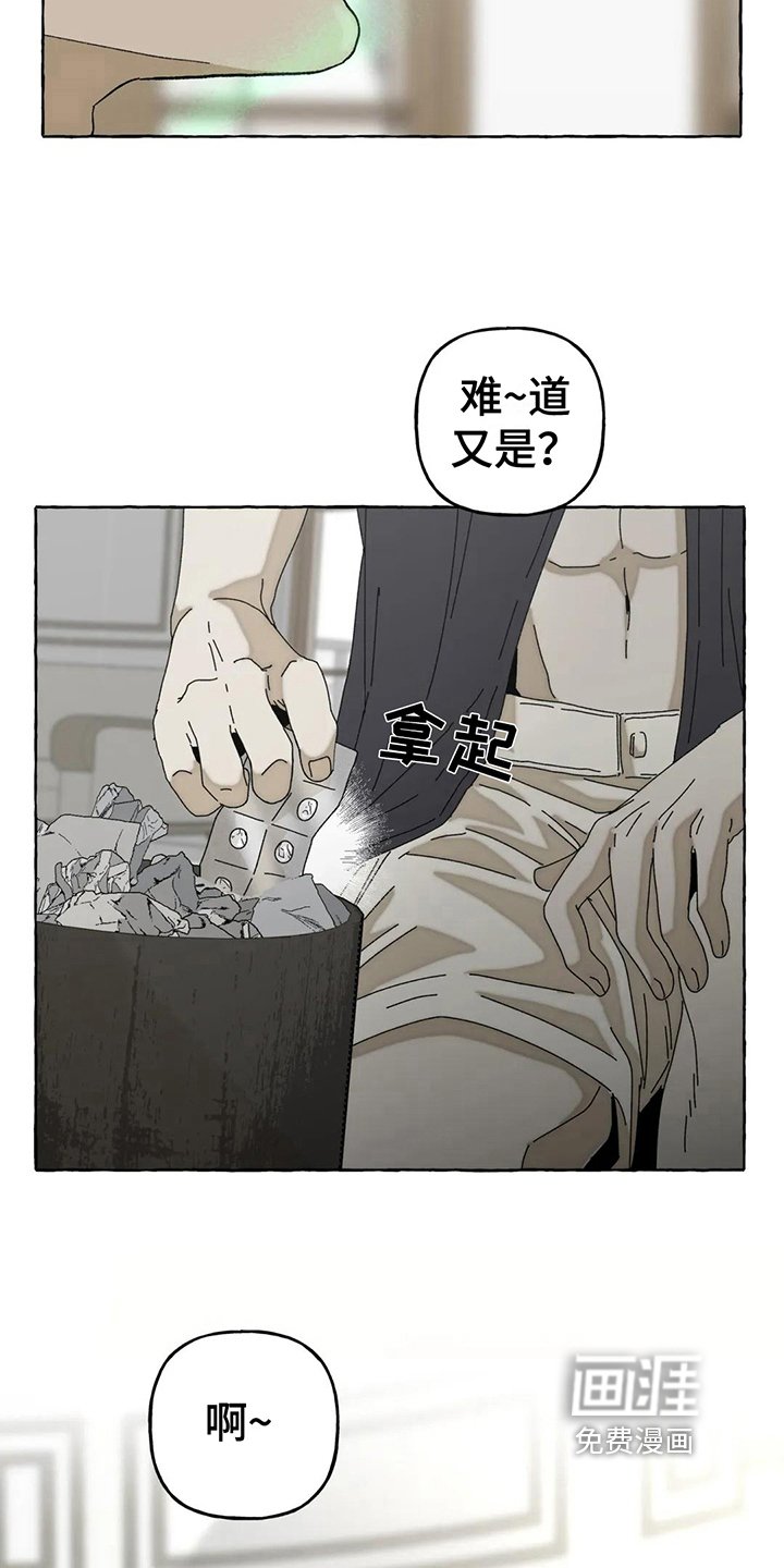 第10章：不会后悔【完结】