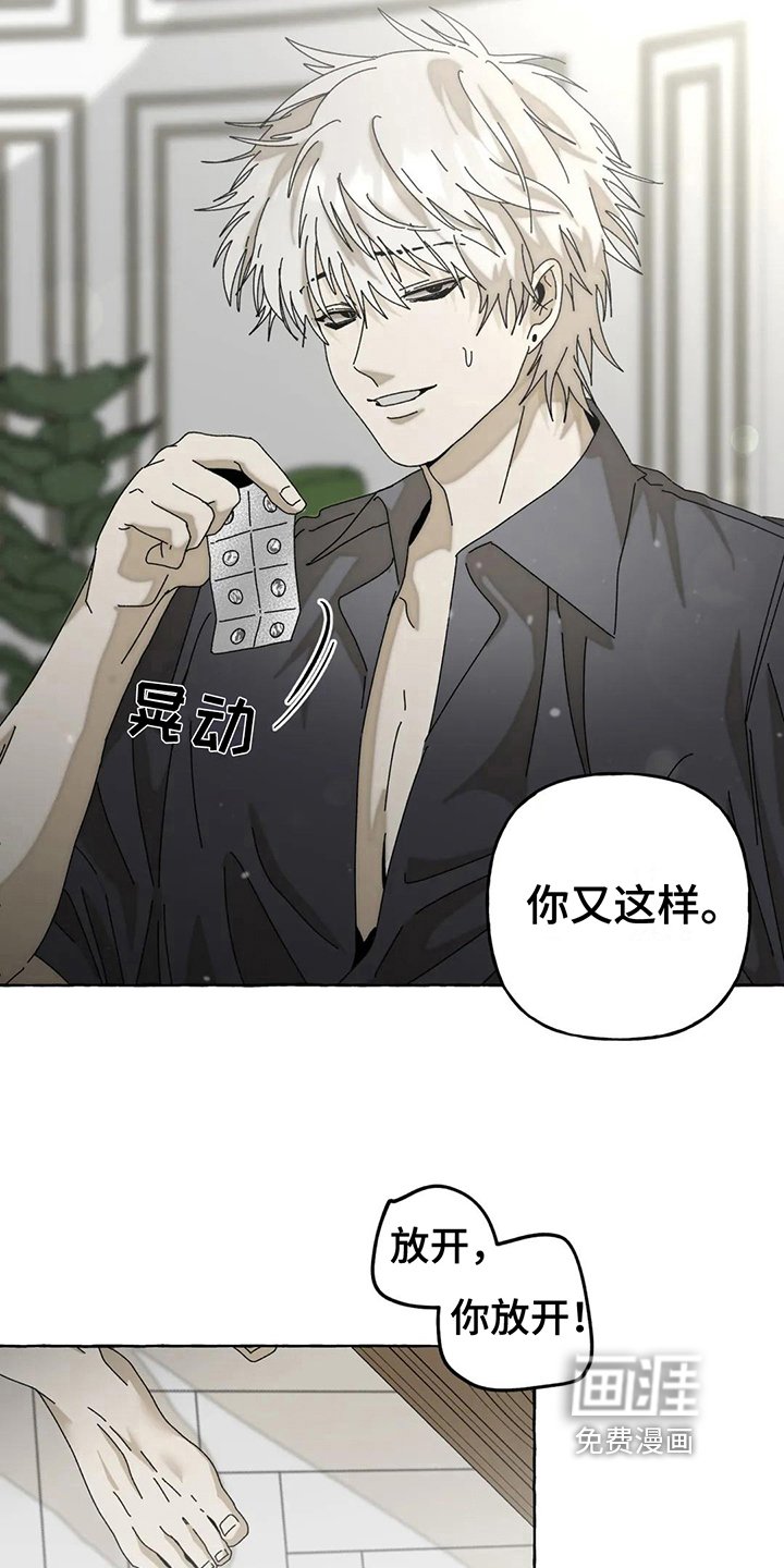 第10章：不会后悔【完结】