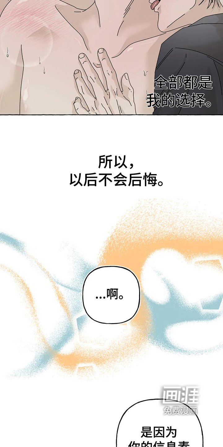 第10章：不会后悔【完结】