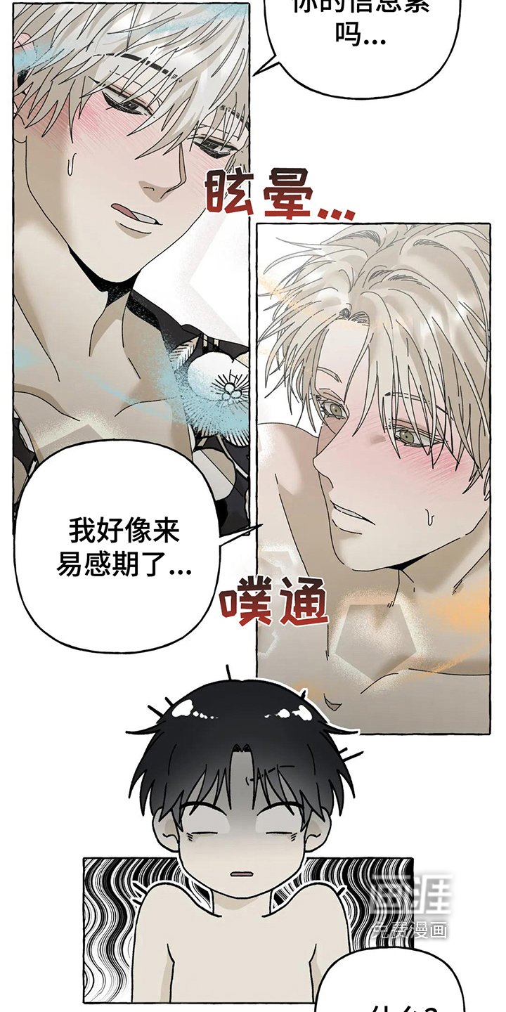 第10章：不会后悔【完结】