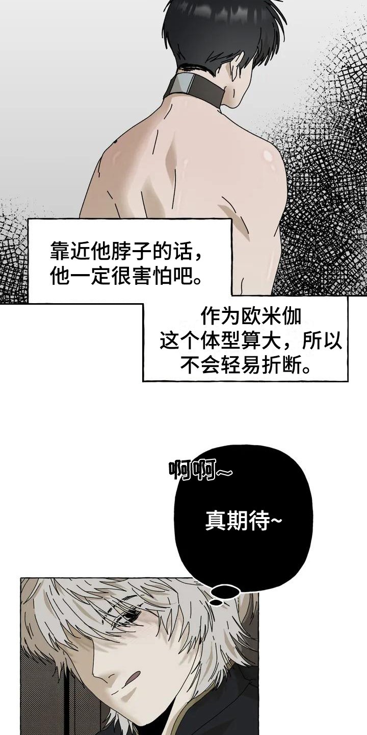 第2章：喜欢