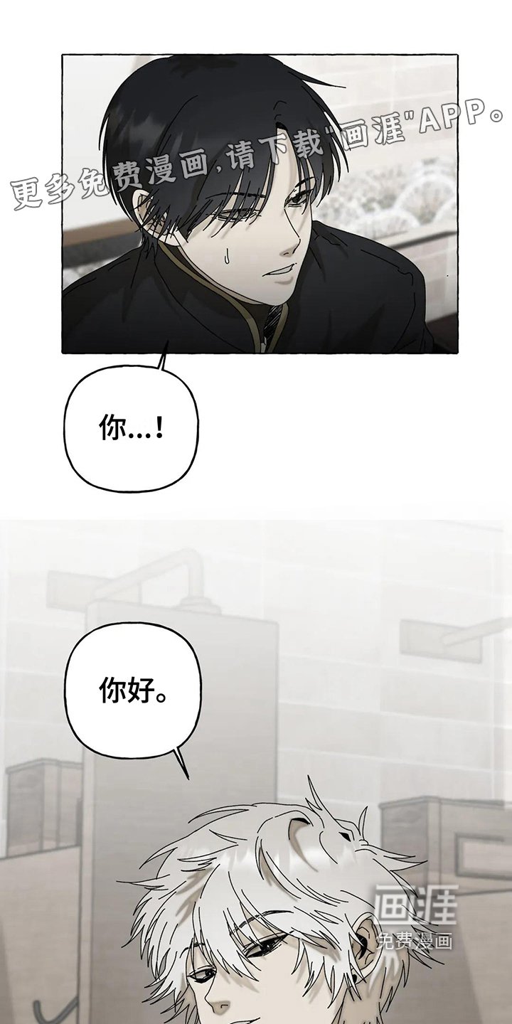 第5章：不强迫