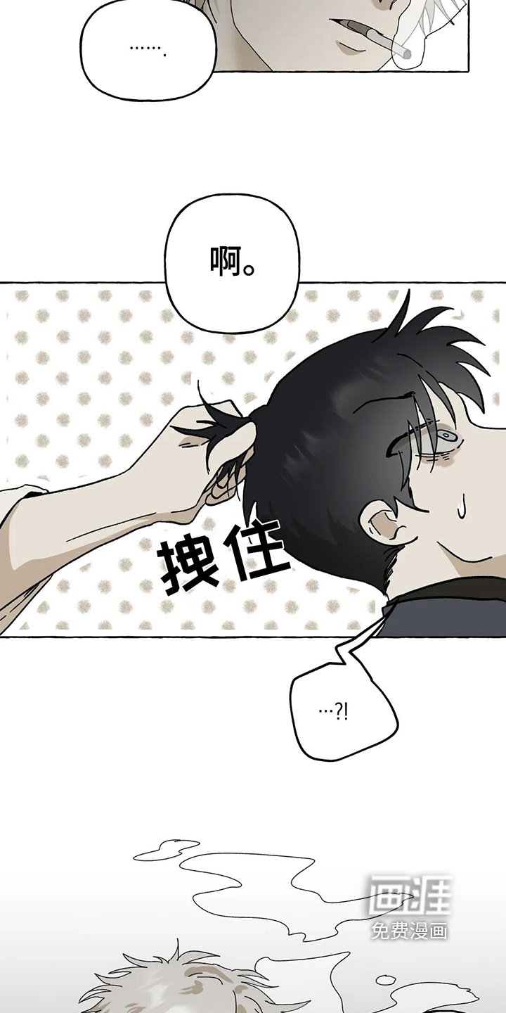 第8章：建议