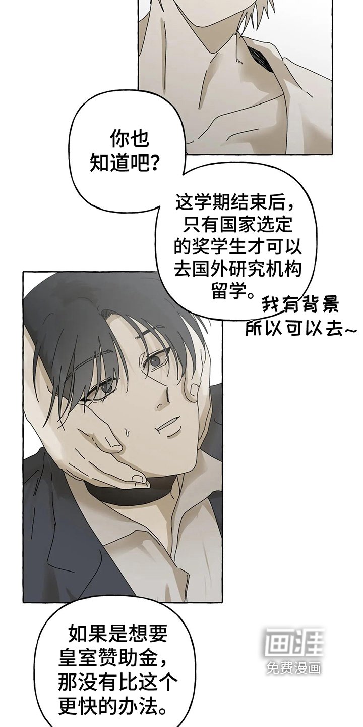 第8章：建议