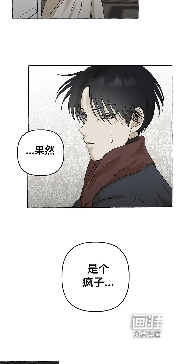 第8章：建议