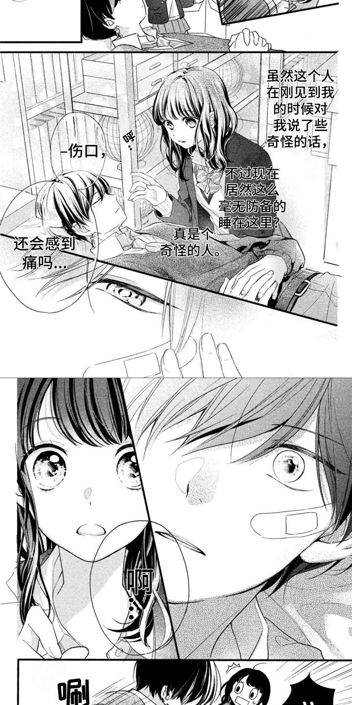 第2章：一见钟情