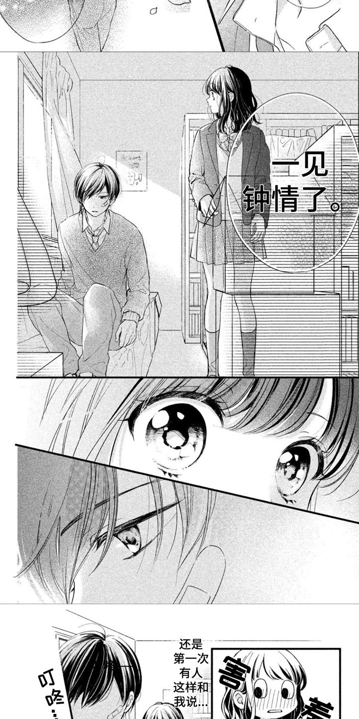第2章：一见钟情