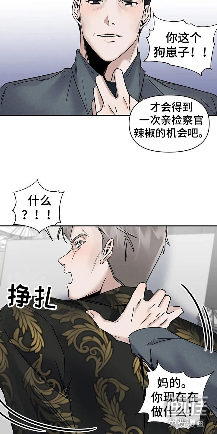第9章：挑逗检察官：你自己选