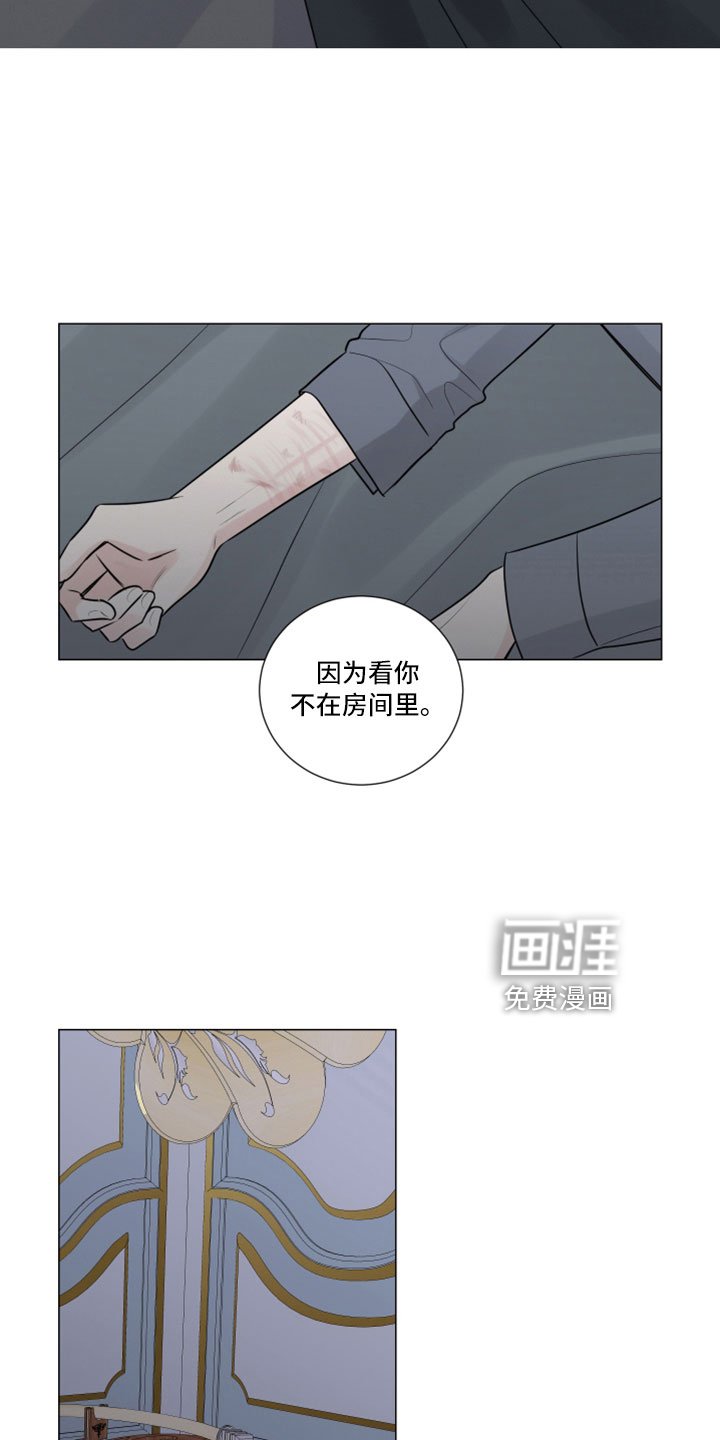 第102章：终于疯了