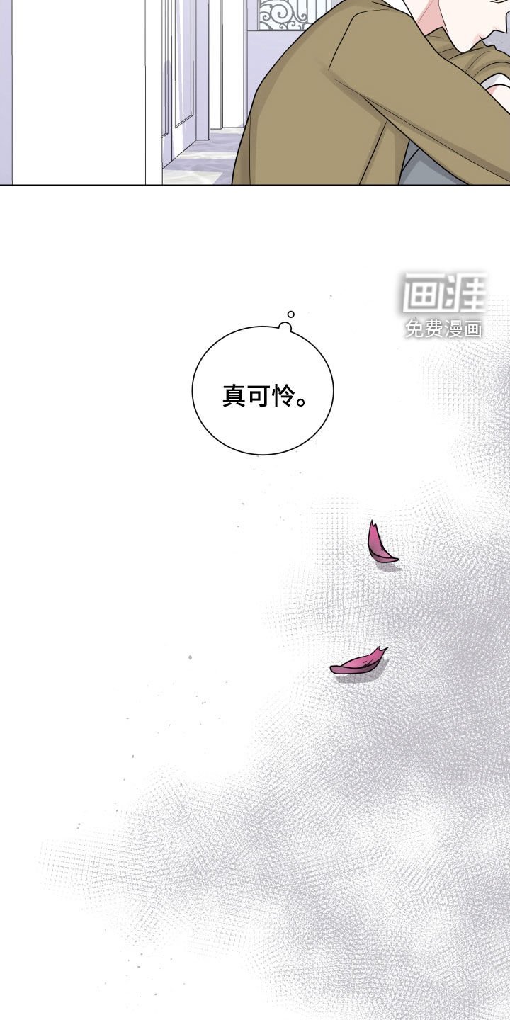 第133章：真可怜
