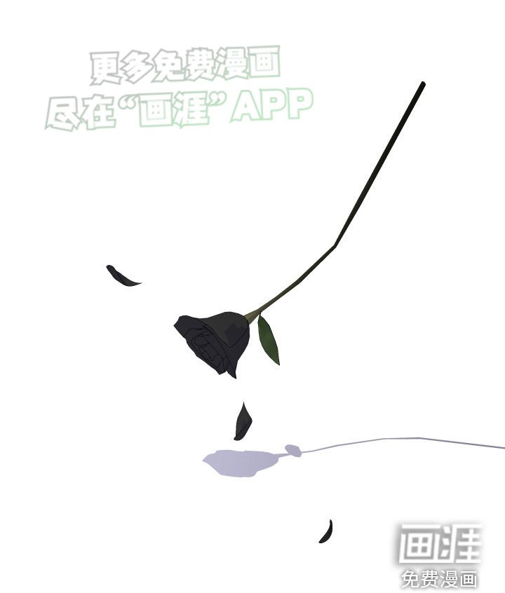 第138章：看到戒指再决定