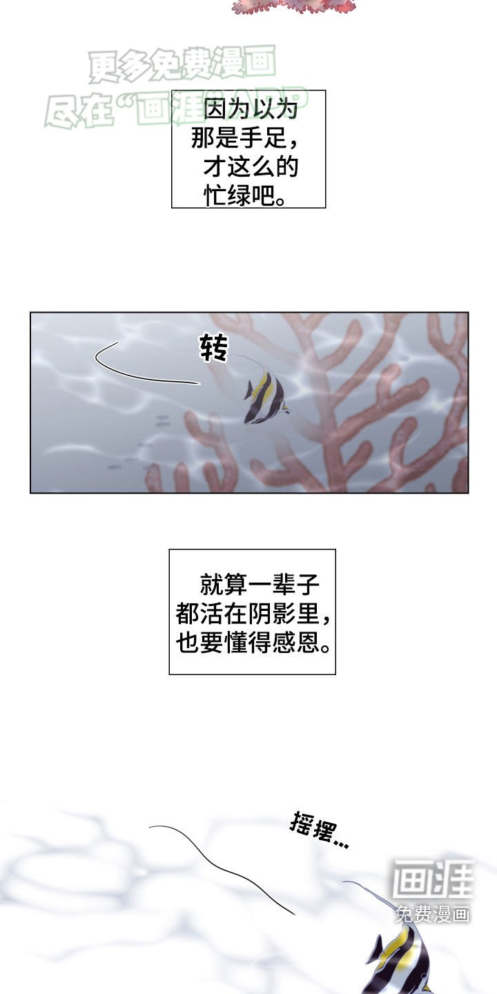 第139章：根源