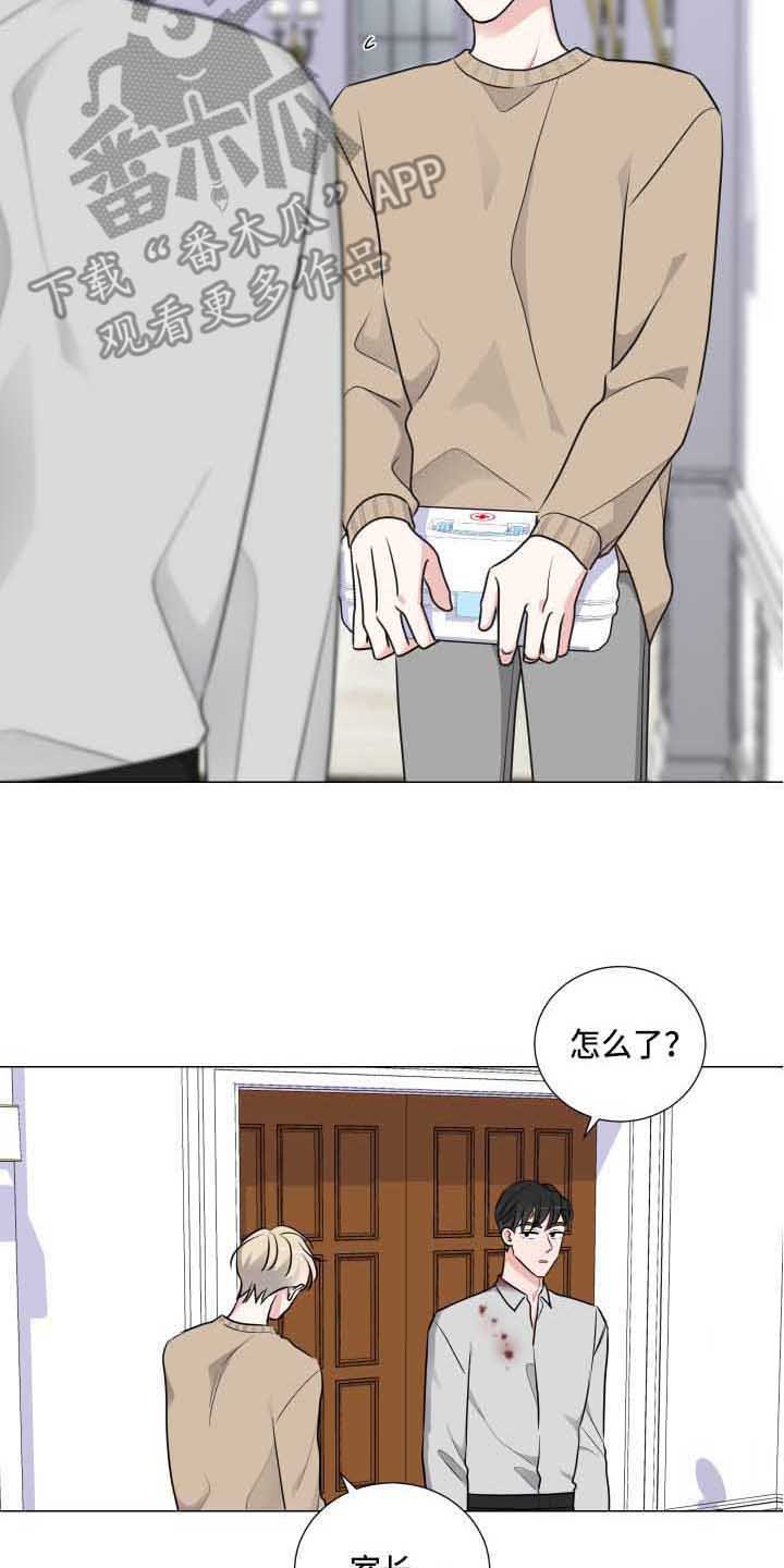 第14章：道歉