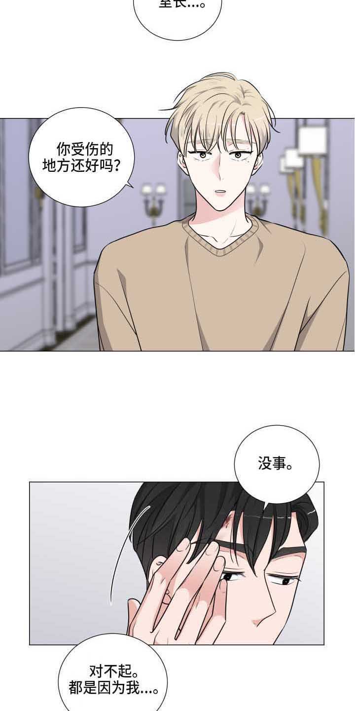 第14章：道歉