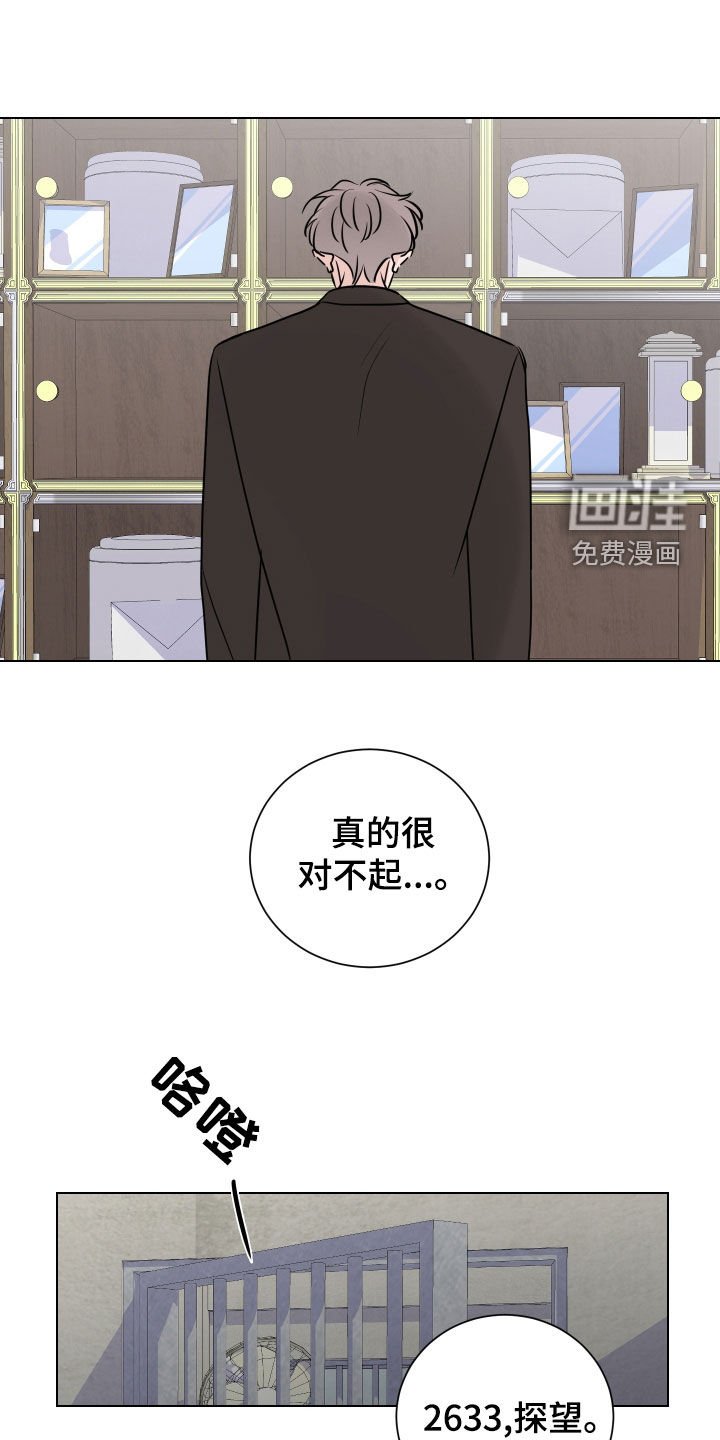 第148章：都是我的错（完结）