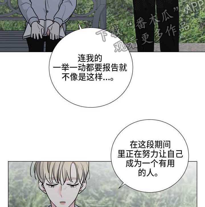 第19章：能理解
