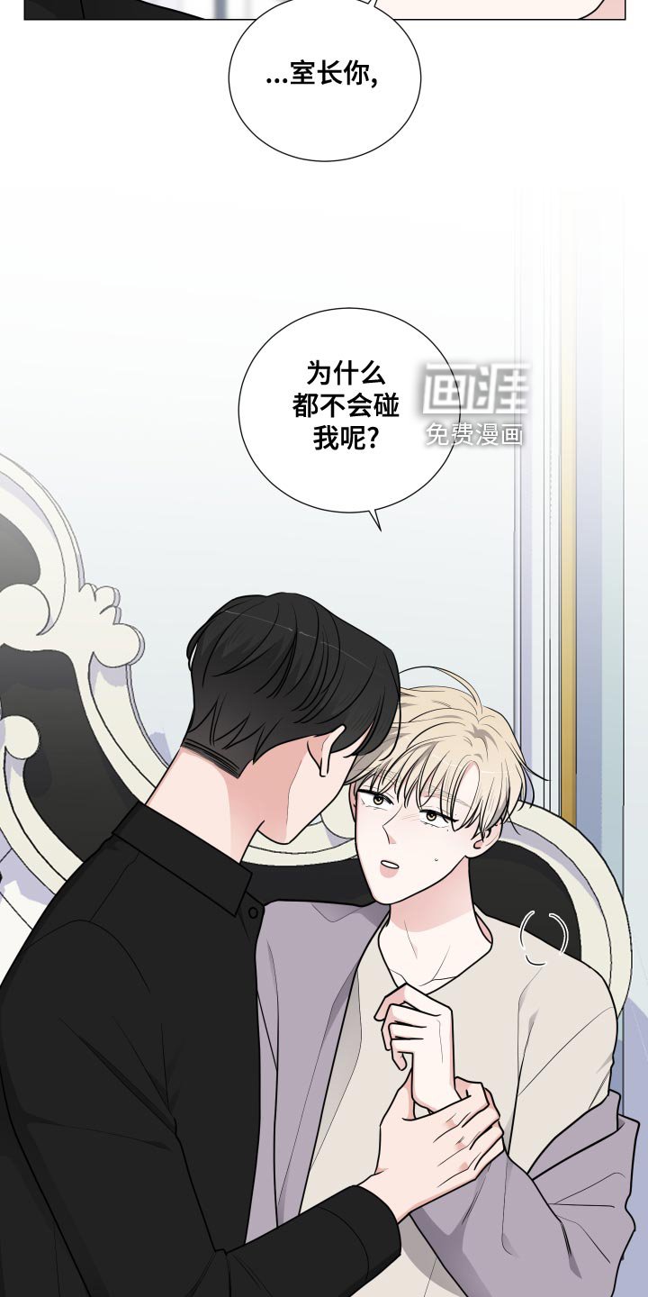 第41章：好奇