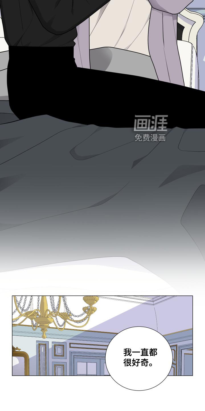 第41章：好奇