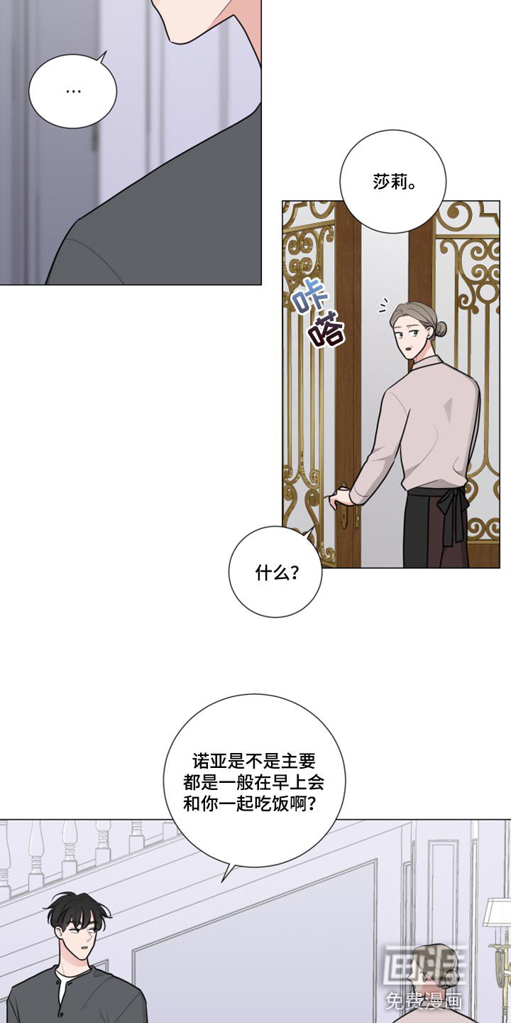 第44章：解释