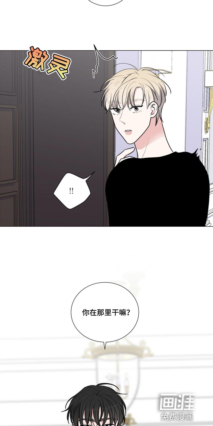 第44章：解释