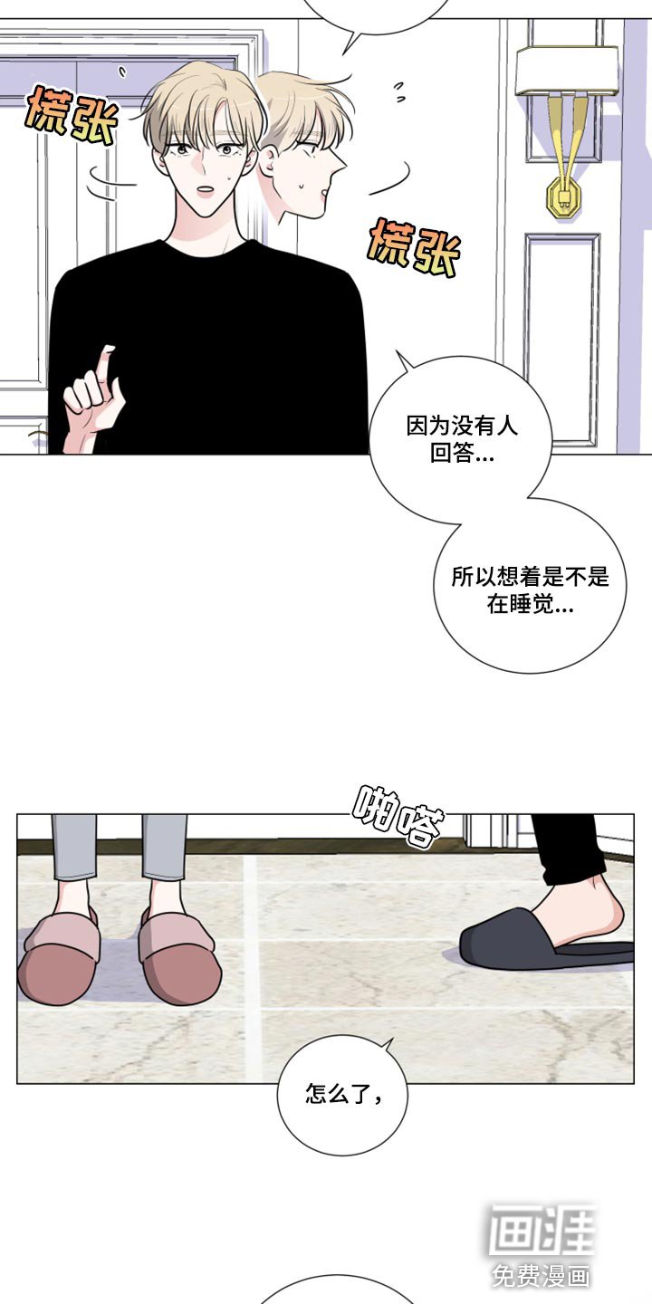 第44章：解释