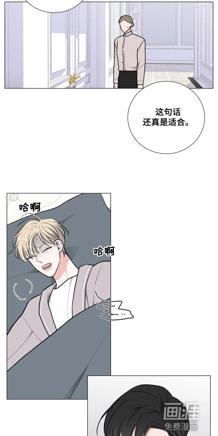 第51章：那都是梦