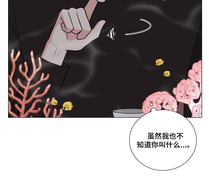 第68章：承受
