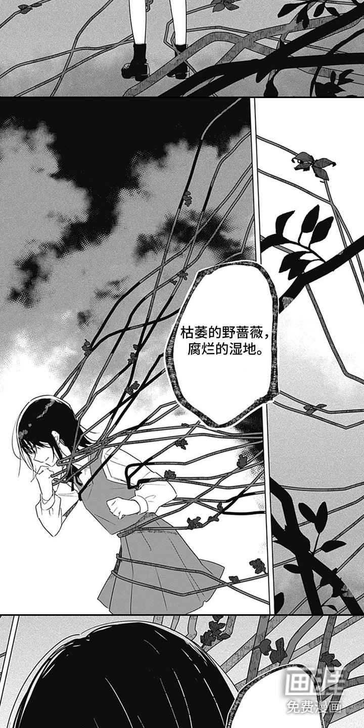 第5章：身临其境